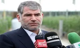 وزیر کشاورزی در واکنش به شایعه معدوم سازی ۱۵ میلیون قطعه جوجه یک روزه: در چند وقت گذشته جوجه کشی نداشته‌ایم