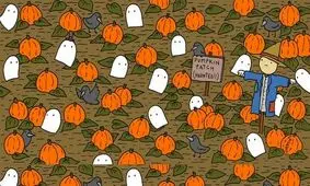   9 تفاوت را در تصویر زیر در کمتر از 25 ثانیه  پیدا کنید
