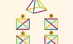 تست هوش: کدام نمای بالای هرم درست می باشد؟