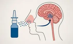 طراحی دارویی به صورت قطرهٔ بینی برای حذف تومورهای مغزی