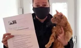 این گربه تحت تعقیب پلیس است