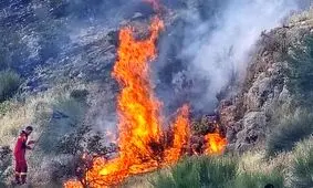 آتش‌سوزی کوه دراک شیراز پس از ۲۲ ساعت مهار شد

