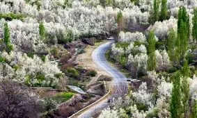 زیبایی‌های شگفت انگیز بوژان/ تصاویر