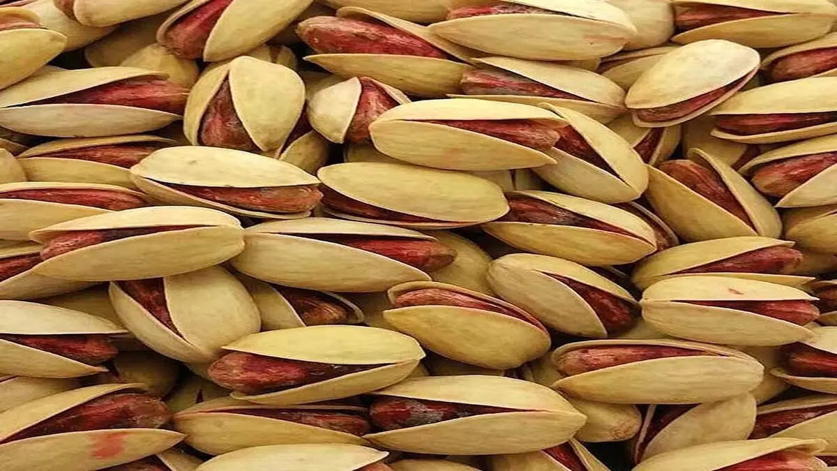 قیمت پسته در بازار چقدر است؟