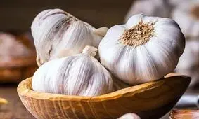 ساده ترین راه برای جلوگیری از جوانه زدن سیر