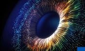 دستکاری چشم انسان برای دیدن رنگ جدید