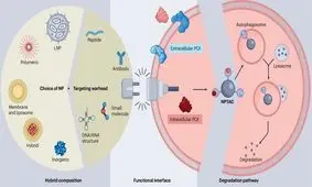 پروتئین‌های مرگ‌آور به دام نانوذرات افتادند

