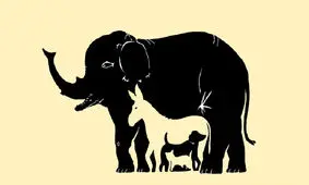 چند حیوان در این تصویر وجود دارد؟
