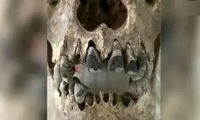 راز جمجمه‌ های ۲ هزارساله با «دندان‌ های سیاه» چیست؟
