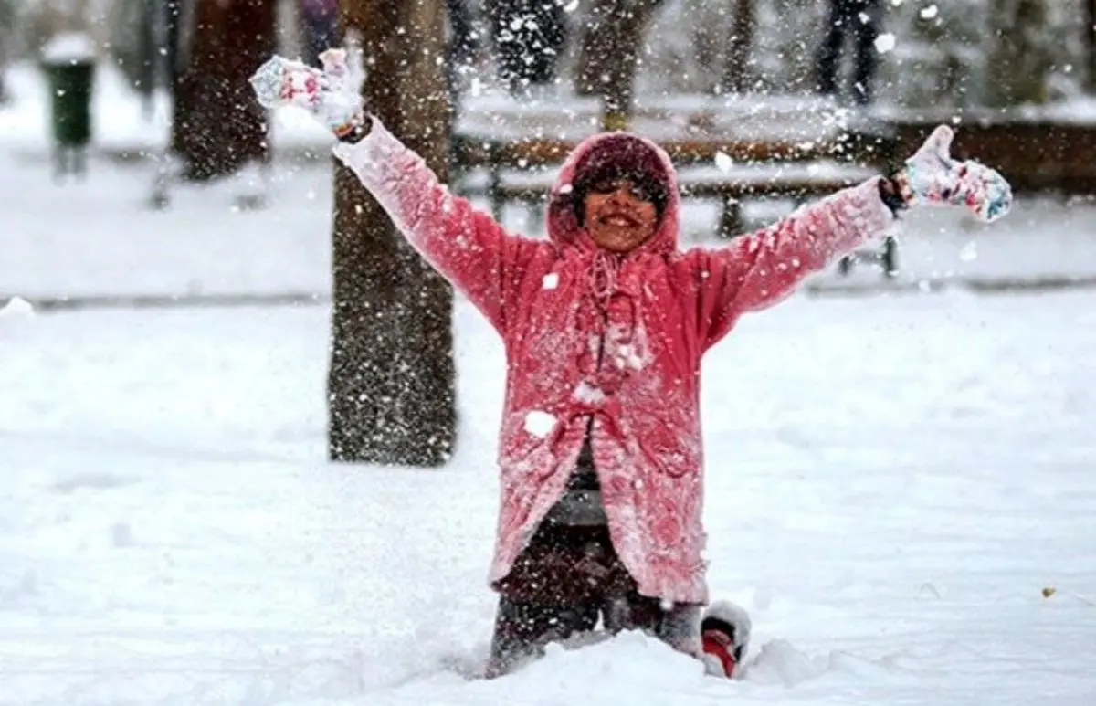 برف بازی مردم در آخرین روز دی/ ویدئو