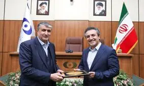 مجری صداوسیما، مدیرکل دیپلماسی عمومی سازمان انرژی اتمی شد