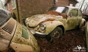 تصاویر گورستانی مخوف در اعماق جنگل‌ / قبرستان جذاب فولکس‌های قورباغه‌ای را ببینید