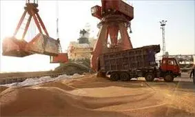 افشای جنجالی در مجلس: فروش ۸ کشتی نهاده دامی خالی/ ویدئو