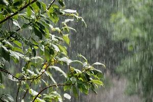 تداوم بارش ها در نقاط مختلف کشور ادامه دارد