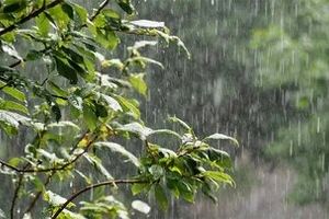 تداوم بارش ها در نقاط مختلف کشور ادامه دارد