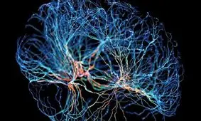 پیوند علوم اعصاب و هوش مصنوعی از طریق نانوکانال‌ها

