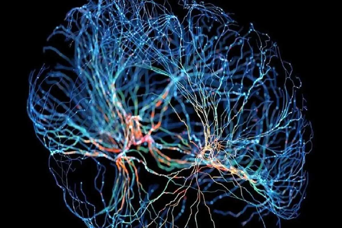 پیوند علوم اعصاب و هوش مصنوعی از طریق نانوکانال‌ها

