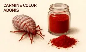 تأیید استفاده از رنگ طبیعی قرمز پوست حشرات در محصولات غذایی