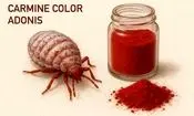 تأیید استفاده از رنگ طبیعی قرمز پوست حشرات در محصولات غذایی