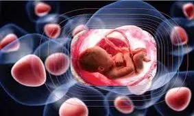 اولین واکنش به خبر گم‌شدن جنین‌ها در بیمارستان آبان 