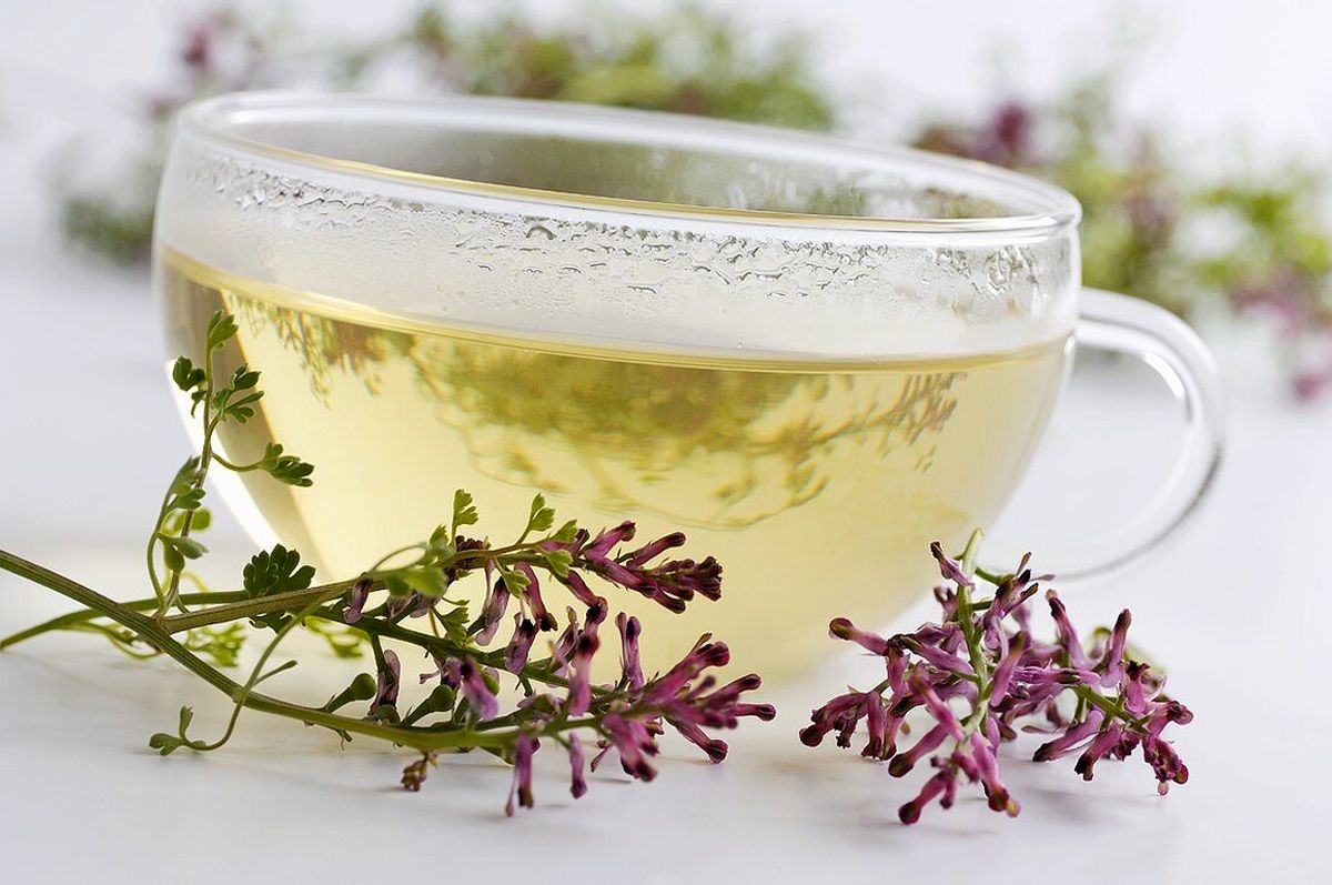 پاکسازی کبد چرب با دمنوش شاتره مصفی خون