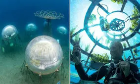 کشاورزی در زیر دریا 