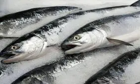 قیمت ماهی شب عید چند؟