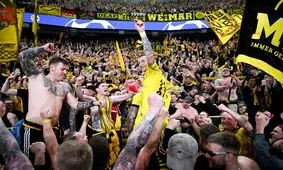 «زنبورها» فینالیست غیرمنتظره این فصل لیگ قهرمانان اروپا

