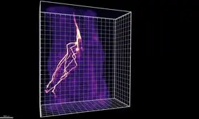 کشف راه ارتباطی جدید میان مغز و سلول‌های چربی

