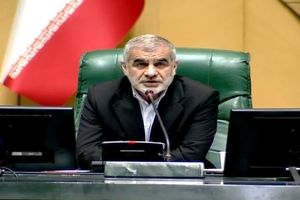 نایب رئیس مجلس: باید تشکیل شورای عالی دفاع به تائید رهبر انقلاب برسد

