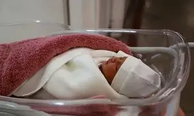 تعداد نوزادان متولد شده در جنگ ۱۲ روزه