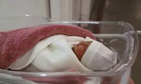 تعداد نوزادان متولد شده در جنگ ۱۲ روزه