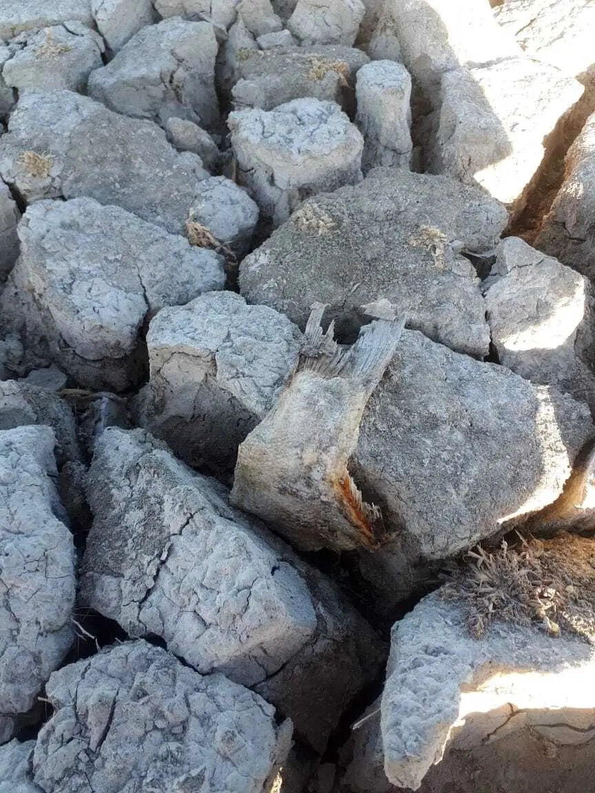 اما خشکی کامل و بحرانی در تابستان ۱۴۰۴ رخ داد