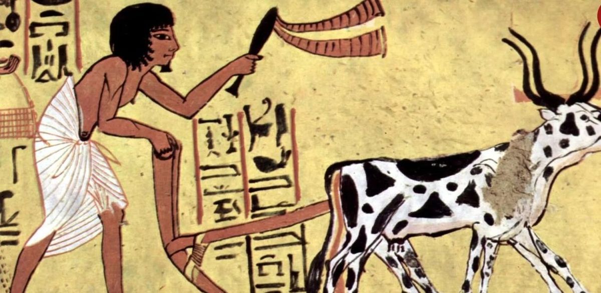 انسان‌ها قبل از عصر کشاورزی چه می‌خوردند؟