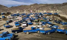 معادله قاچاق سوخت بی جواب است؟/ استارت تحقیق و تفحص از وزارت نفت خورد  