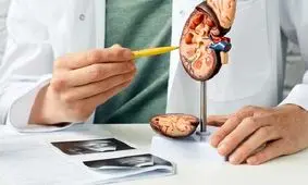 چرا سنگ کلیه می‌گیریم؟