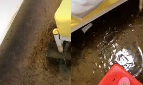 تبدیل خانه زن تایلندی به آکواریوم/ ویدئو