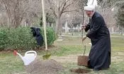 محسنی اژه ای درخت کاشت