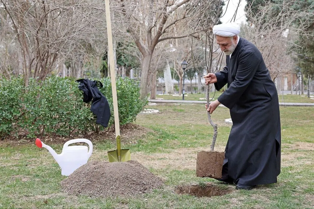 محسنی اژه ای درخت کاشت