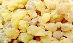 کندر می‌تواند التهاب ناشی از ام‌اس را کاهش دهد