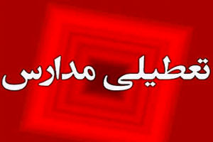 فردا فعالیت مدارس چهار شهرستان فارس غیرحضوری شد