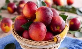 مصرف این میوه سبب افزایش متابولیسم بدن و لاغری می‌شود