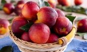 مصرف این میوه سبب افزایش متابولیسم بدن و لاغری می‌شود