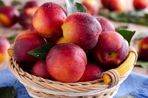 مصرف این میوه سبب افزایش متابولیسم بدن و لاغری میشود