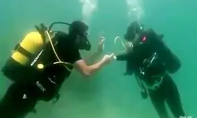 فیلم نامزدی خانم بازیگر ایرانی زیر دریا/ ویدئو