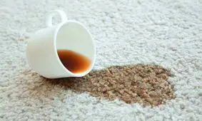  بهترین شوینده برای پاک کردن لکه‌های روی فرش