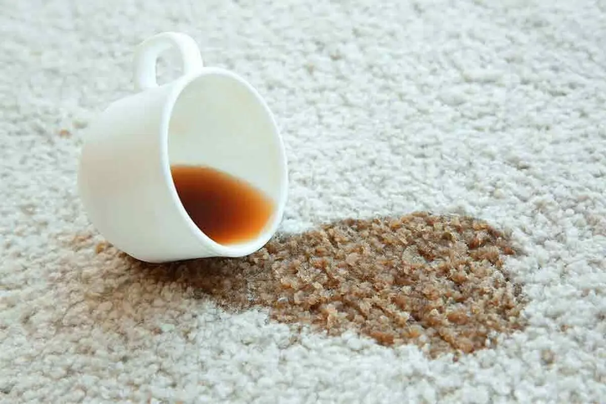 بهترین شوینده برای پاک کردن لکه‌های روی فرش
