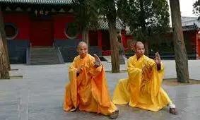 اسرار کونگ فو/ ویدئو