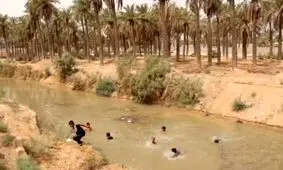 تحقق وعده استاندار خوزستان؛ آب به نخلستان های خنافره شادگان رسید