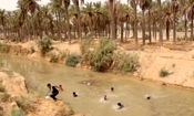 تحقق وعده استاندار خوزستان؛ آب به نخلستان های خنافره شادگان رسید